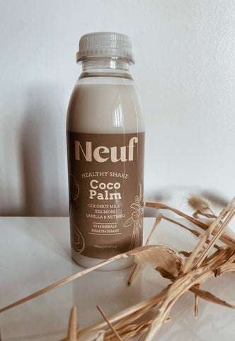 Coco Palm